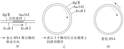 菁優(yōu)網