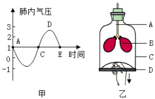 菁優(yōu)網(wǎng)