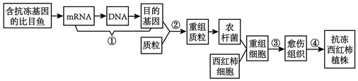 菁優(yōu)網