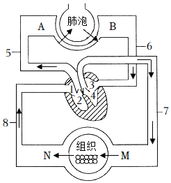 菁優(yōu)網(wǎng)