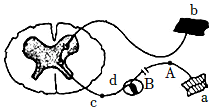 菁優(yōu)網(wǎng)