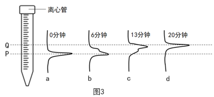 菁優(yōu)網