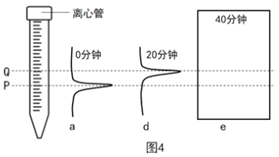 菁優(yōu)網