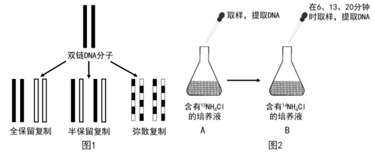 菁優(yōu)網