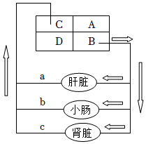 菁優(yōu)網(wǎng)