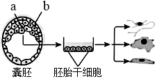 菁優(yōu)網