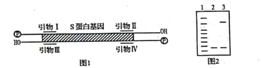 菁優(yōu)網