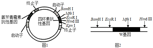 菁優(yōu)網