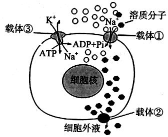 菁優(yōu)網(wǎng)