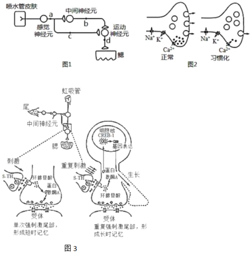 菁優(yōu)網