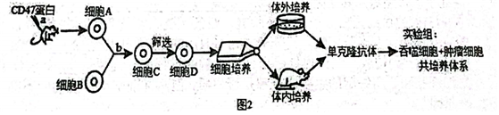 菁優(yōu)網