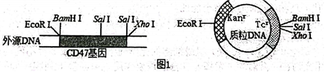 菁優(yōu)網