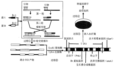 菁優(yōu)網(wǎng)