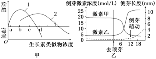 菁優(yōu)網