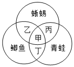 菁優(yōu)網(wǎng)