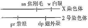 菁優(yōu)網