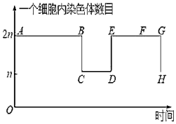 菁優(yōu)網