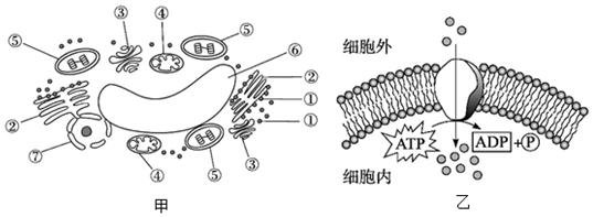 菁優(yōu)網(wǎng)