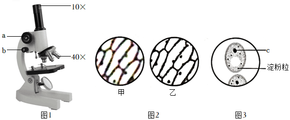 菁優(yōu)網