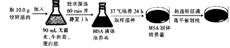 菁優(yōu)網