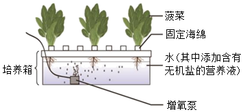 菁優(yōu)網(wǎng)