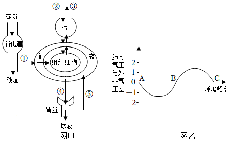 菁優(yōu)網(wǎng)