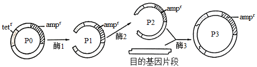 菁優(yōu)網(wǎng)