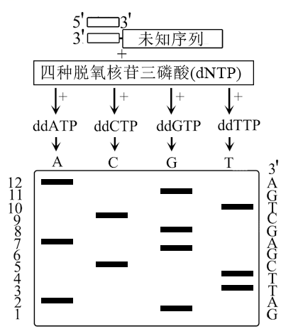 菁優(yōu)網