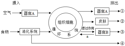 菁優(yōu)網