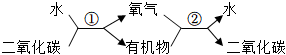 菁優(yōu)網(wǎng)