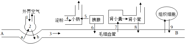 菁優(yōu)網(wǎng)