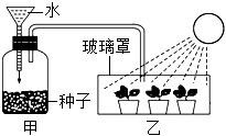 菁優(yōu)網