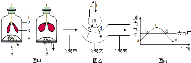 菁優(yōu)網(wǎng)