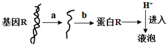 菁優(yōu)網(wǎng)