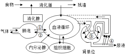 菁優(yōu)網(wǎng)