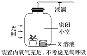 菁優(yōu)網(wǎng)