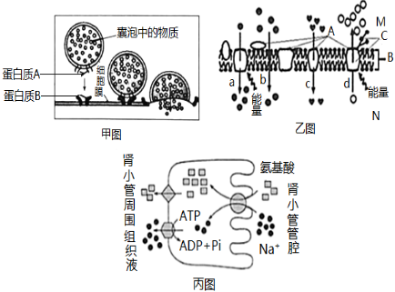 菁優(yōu)網(wǎng)