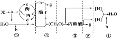 菁優(yōu)網(wǎng)