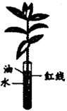 菁優(yōu)網(wǎng)