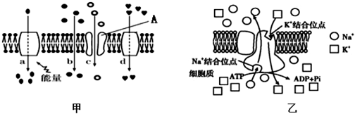 菁優(yōu)網(wǎng)