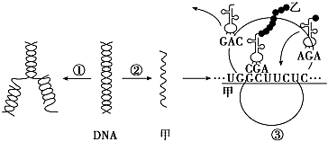 菁優(yōu)網(wǎng)