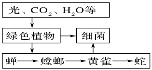 菁優(yōu)網(wǎng)