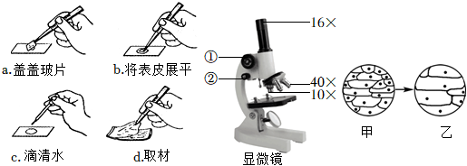 菁優(yōu)網