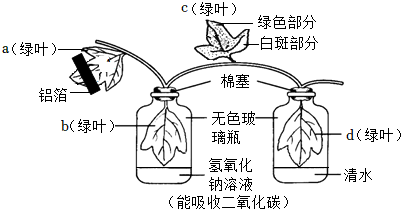 菁優(yōu)網(wǎng)