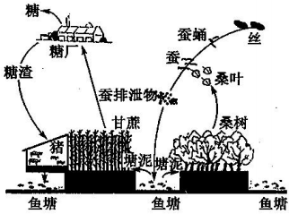 菁優(yōu)網