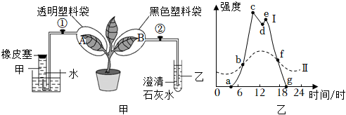 菁優(yōu)網(wǎng)