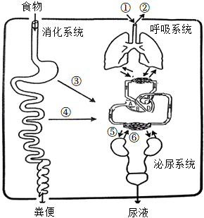 菁優(yōu)網(wǎng)