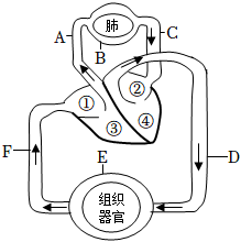 菁優(yōu)網(wǎng)