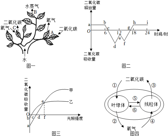 菁優(yōu)網(wǎng)