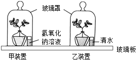 菁優(yōu)網(wǎng)